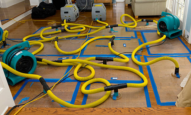 Professional Basement Flood Cleanup technician working in Sturgeon Bay, WI